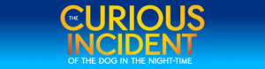 the curious incident of the dog in the nighttime ahmason broadway tickets